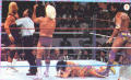 WWF042.jpg