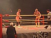 XWF012.jpg