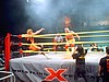 XWF016.jpg